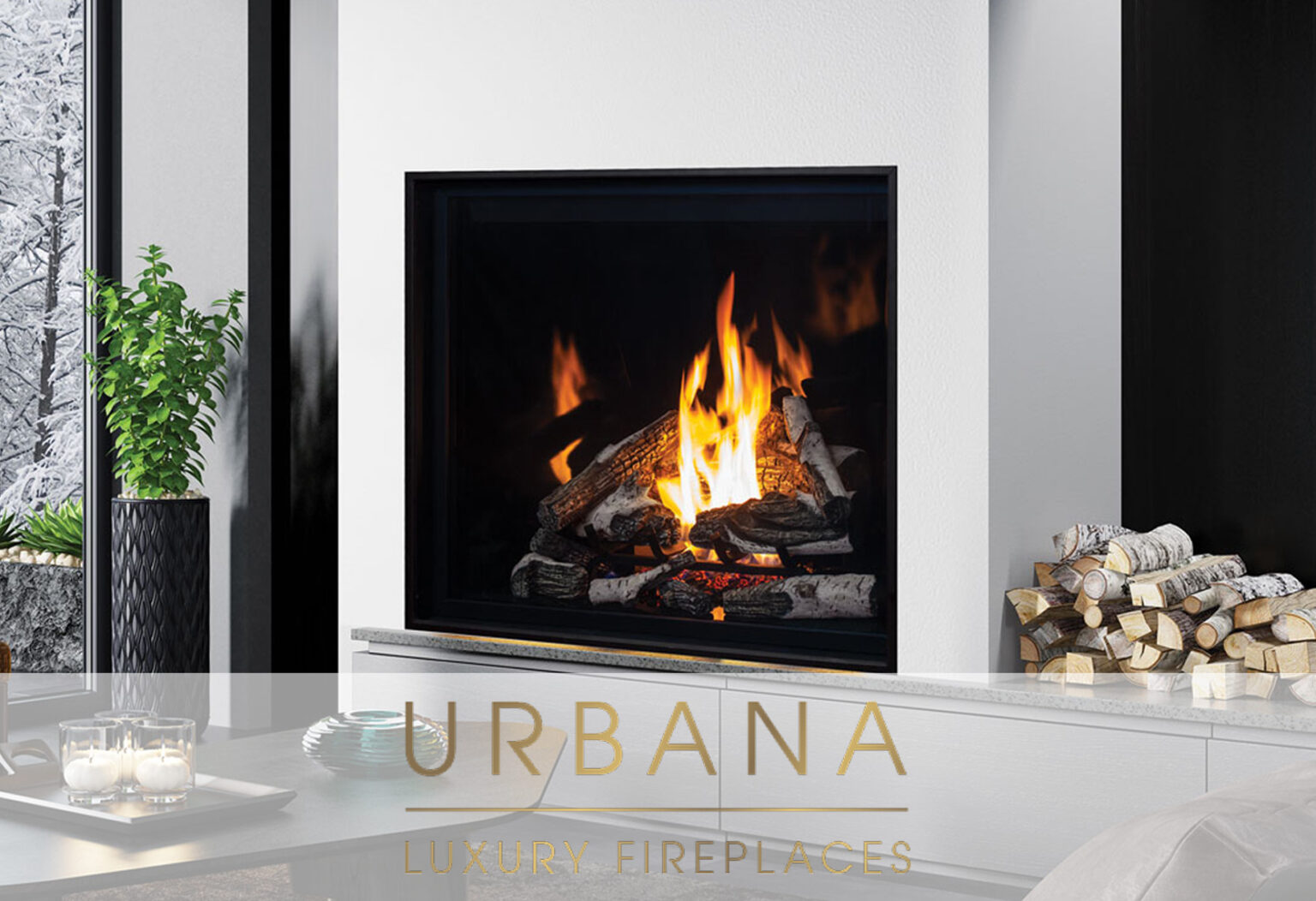 Fireplaces, Stoves, Inserts & More Available For Installation in MN