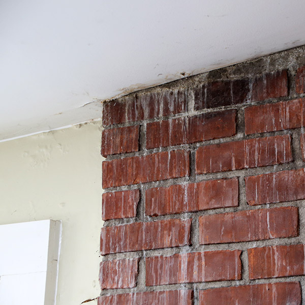 Leaky chimney repairs in Stillwater & Plymouth MN
