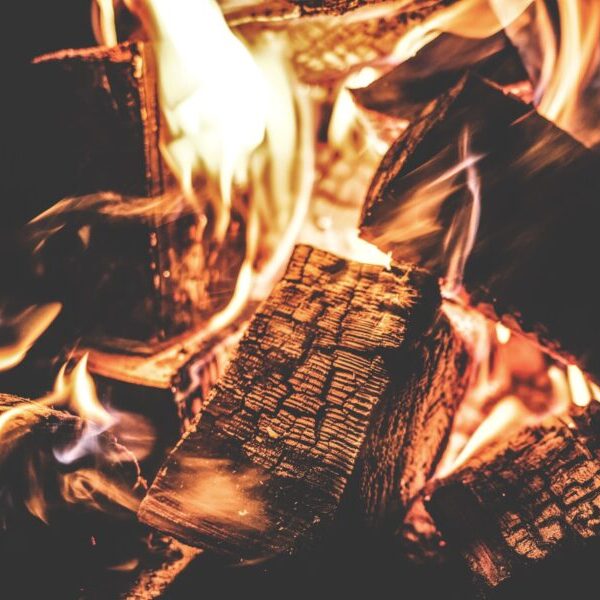 Common wood types you should NEVER burn on — Wood Burn Corner