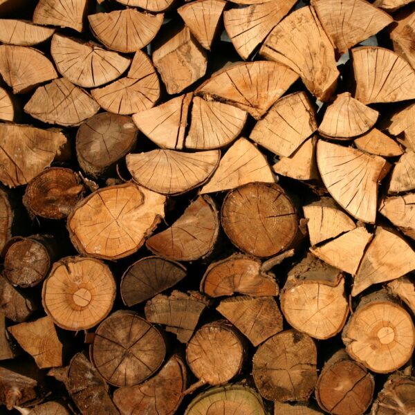 8 Kinds of Wood You Not to Burn - Bad Firewood You Should Never Use