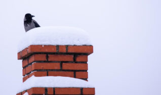 Chimney Repairs and Inspection in Woodbury, MN